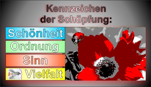 1SOS-Kennzeichen_der_Schpfung.