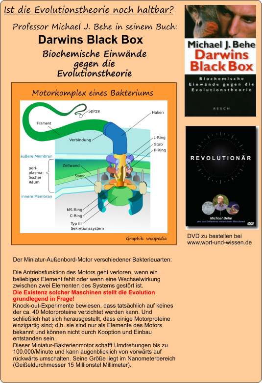 Evolution-Sch�pfung-Hauskreis.