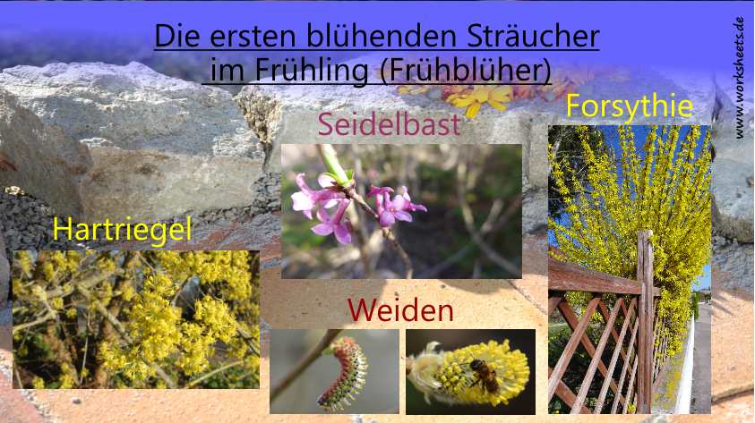 Film-Strucher im Frhling