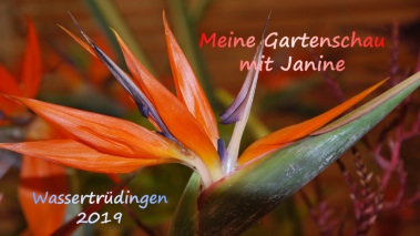 Gartenschau-Wassertrdingen-Janine-Logo
