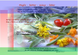 Meglio-better-mieux-lieber-s