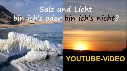 Salz und Licht-bin ichs-logo.