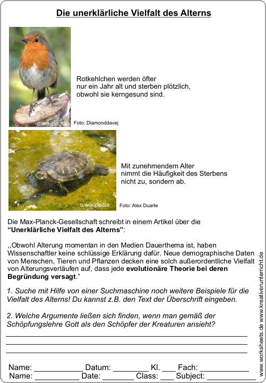 Unerkl�rliche_Vielfalt_des_Alterns-AB1