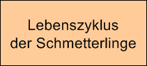 Lebenszyklus























der Schmetterlinge